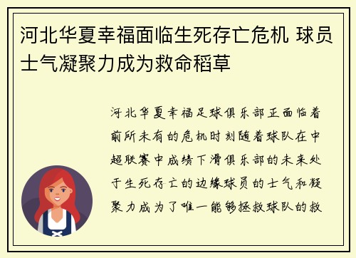 河北华夏幸福面临生死存亡危机 球员士气凝聚力成为救命稻草